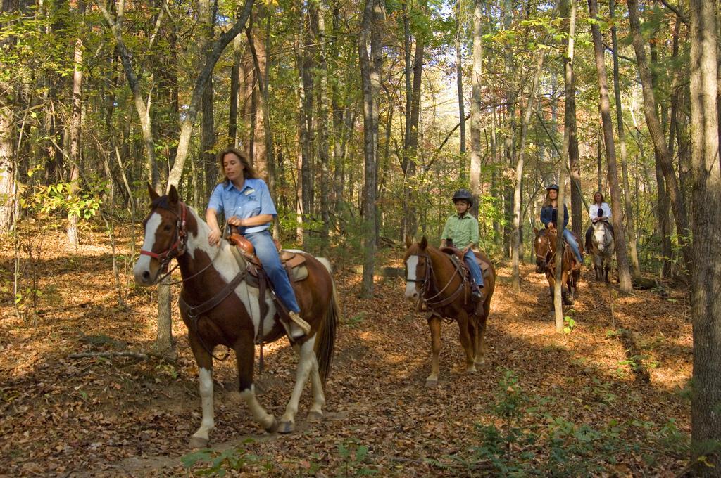Brasstown Valley Resort & Spa Young Harris Экстерьер фото