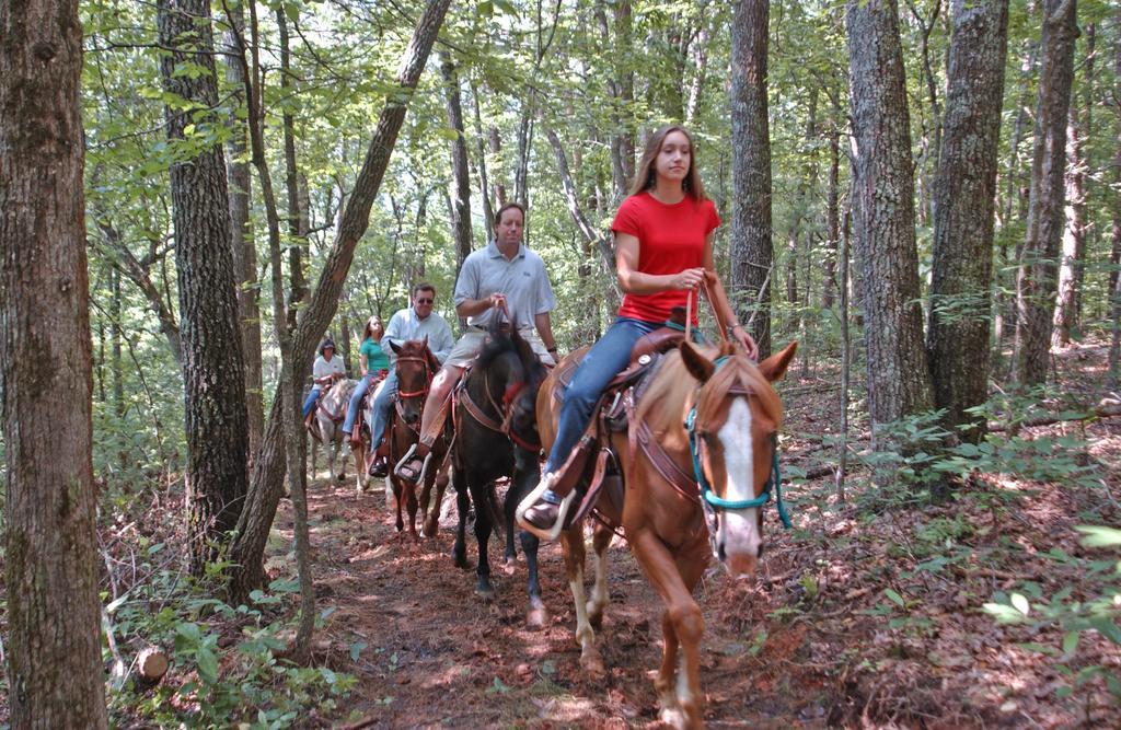 Brasstown Valley Resort & Spa Young Harris Экстерьер фото